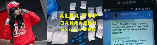 apvp Богданович
