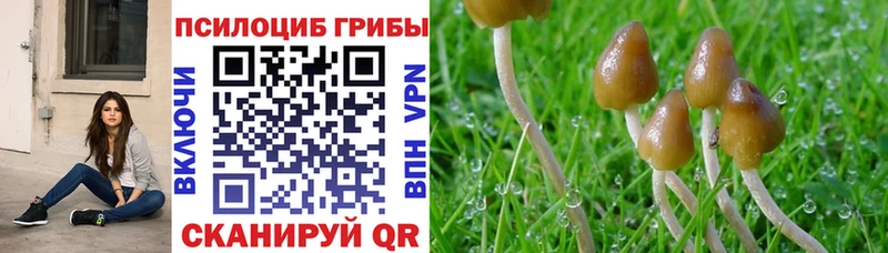 Галлюциногенные грибы MAGIC MUSHROOMS  Вельск 